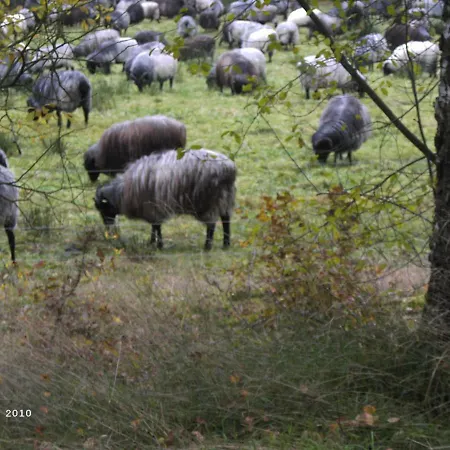 Huus Ton Witten Barg *