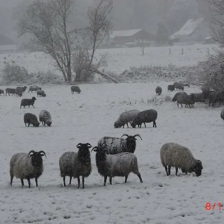 Casa vacanze Huus Ton Witten Barg
