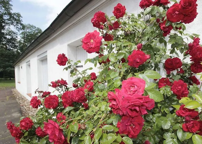 Huus Ton Witten Barg Undeloh