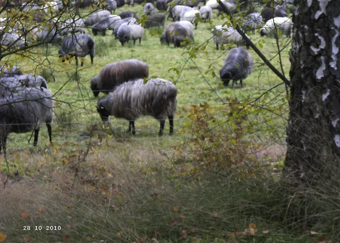 Huus Ton Witten Barg *