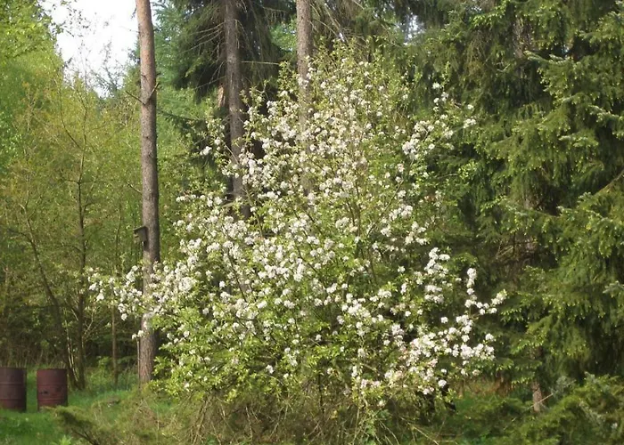 Huus Ton Witten Barg Vakantiehuis Undeloh