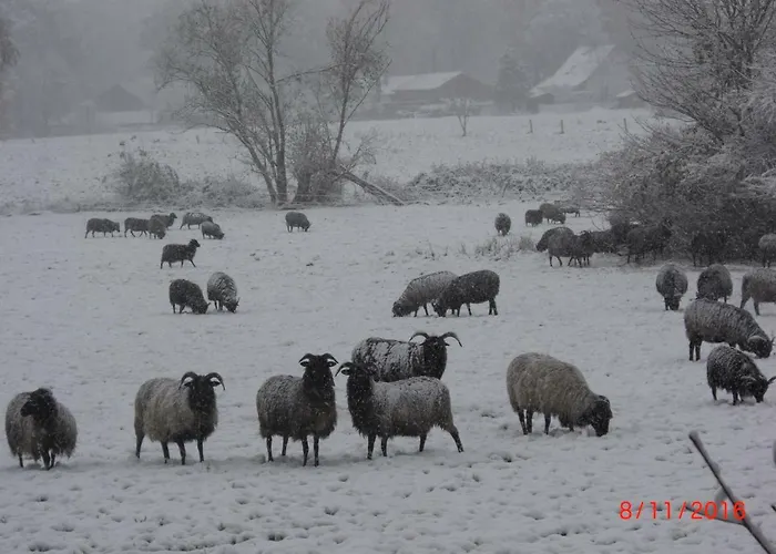 Vakantiehuis Huus Ton Witten Barg