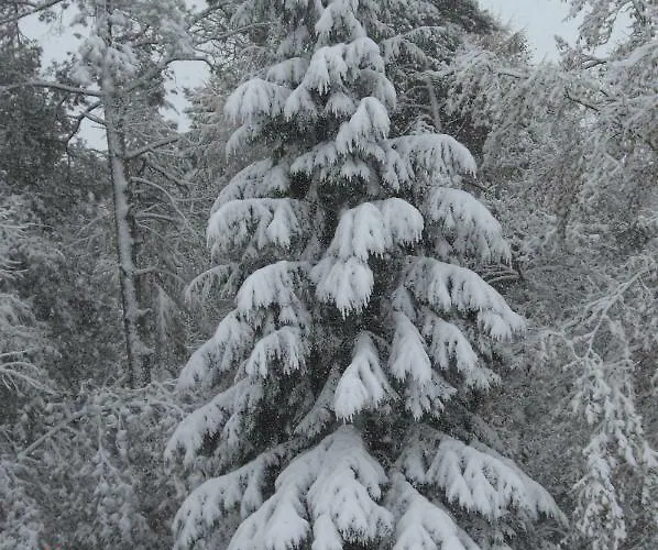 Huus Ton Witten Barg *