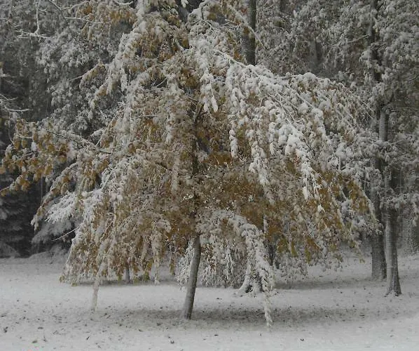 Huus Ton Witten Barg Vakantiehuis