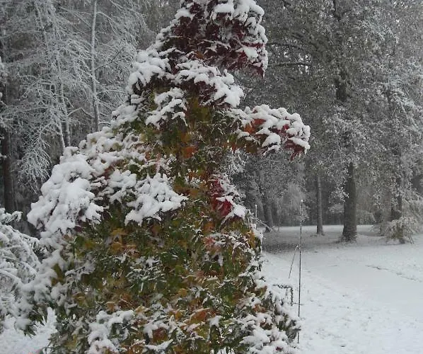 Huus Ton Witten Barg *